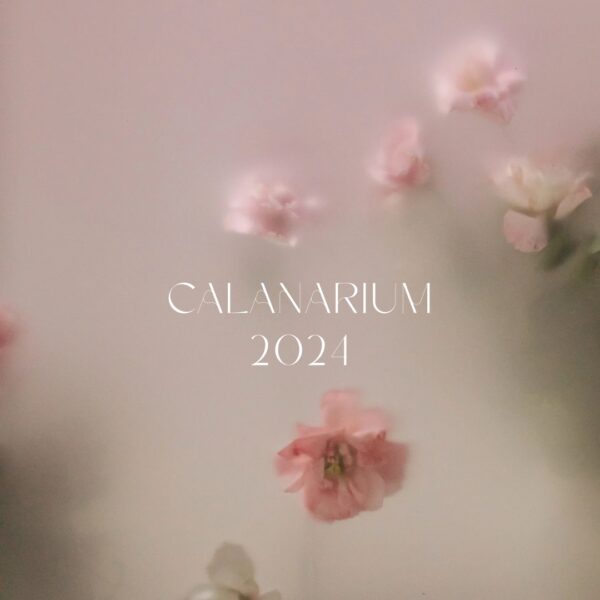 CALANARIUM-2024-FELIZ-Y-PUNTO